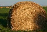 Oat Hay bales