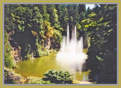 Fountain in the trees.