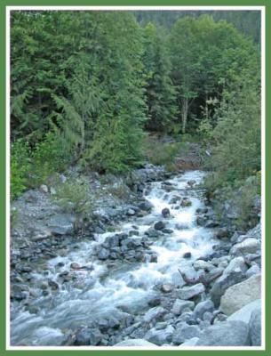 One of many forest creeks.