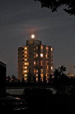 The moon in a perfect position.