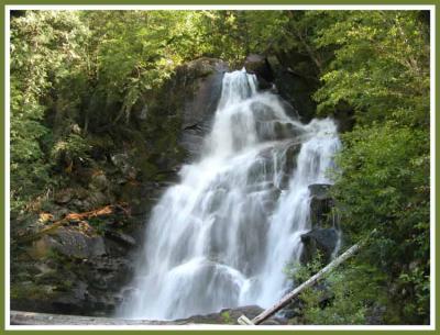 Waterfall in the woods.