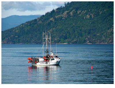 Fisherman sets his traps.