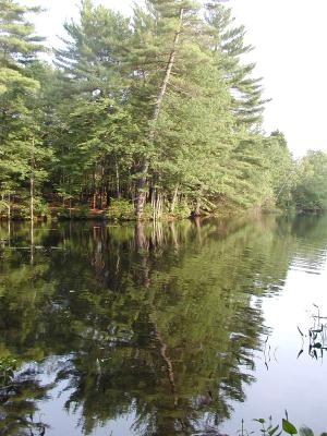 acres-057.jpg