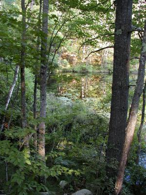 acres-058.jpg