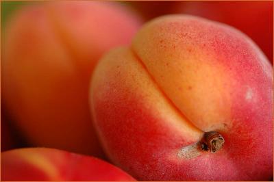 Apricots