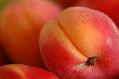 Apricots