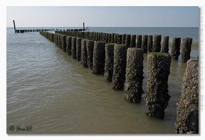 EOS-1D Mark II_050831_woensdag_165434__L5M6644.jpg