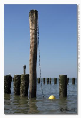 EOS-1D Mark II_050831_woensdag_170218__L5M6653.jpg