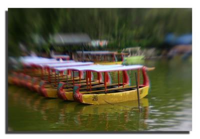 v3/50/358250/3/47715175.burnhamboat.jpg