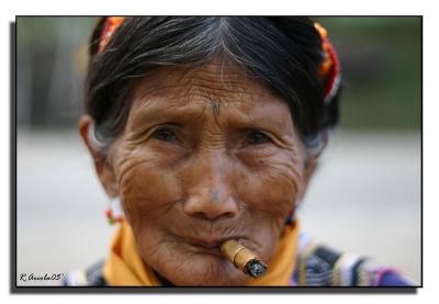 v3/50/358250/3/51317893.native.jpg
