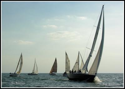 DSCN0672.jpg
