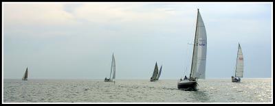 IMG_1488.jpg