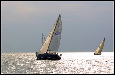 IMG_1493.jpg