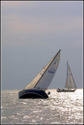 IMG_1494.jpg