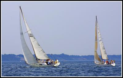 IMG_1495.jpg
