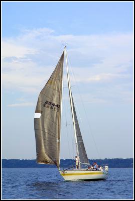 IMG_1497.jpg