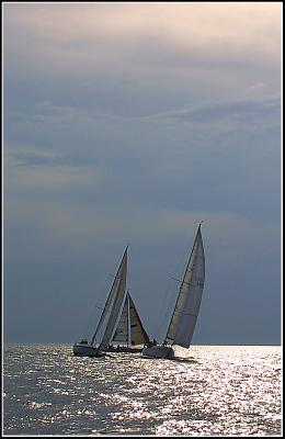 IMG_1500.jpg