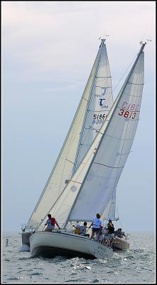 IMG_1521.jpg