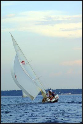 IMG_1612.jpg