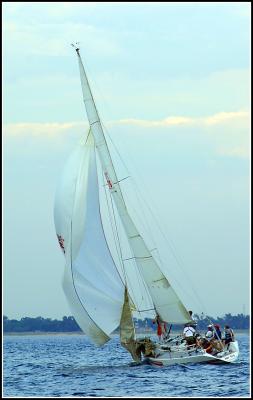 IMG_1614.jpg