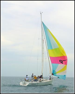 IMG_1642.jpg