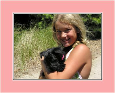 nancys_dogs