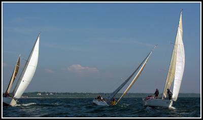 DSCN9175.jpg