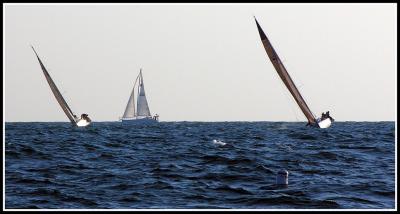 DSCN9191.jpg