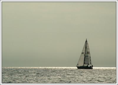 DSCF1552.jpg