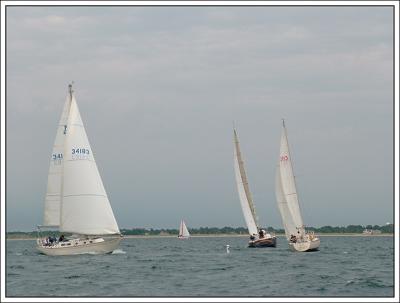 DSCF1624.jpg