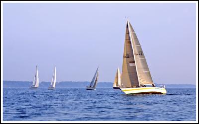 IMG_3402 copy.jpg