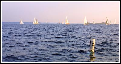 IMG_3405 copy.jpg