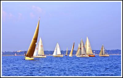 IMG_3409 copy.jpg