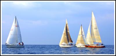 IMG_3426 copy.jpg