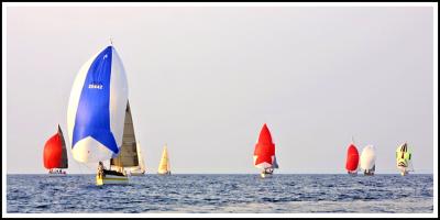 IMG_3429 copy.jpg