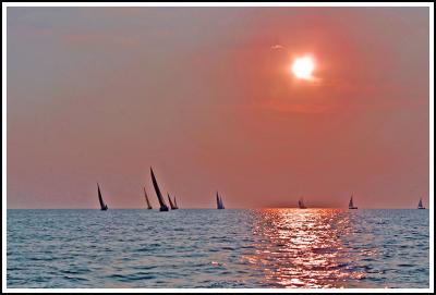 IMG_3438 copy.jpg