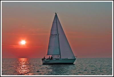 IMG_3450 copy.jpg