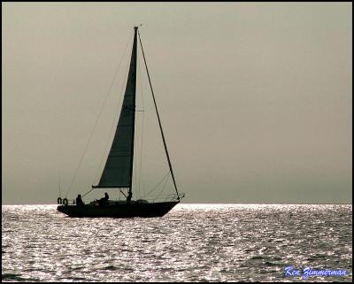 silouette