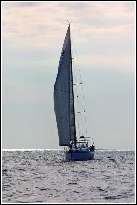 IMG_3542.JPG