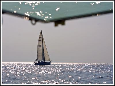 IMG_3687 copy.jpg