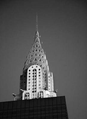 _DSC2205 copy.jpg