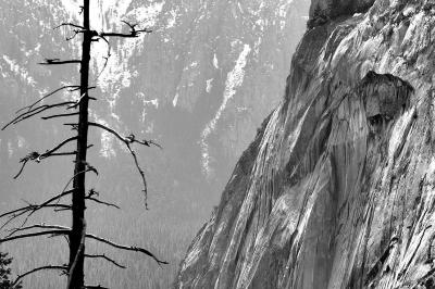 _DSC5351 copy.jpg