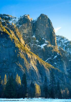 _DSC5055 copy.jpg