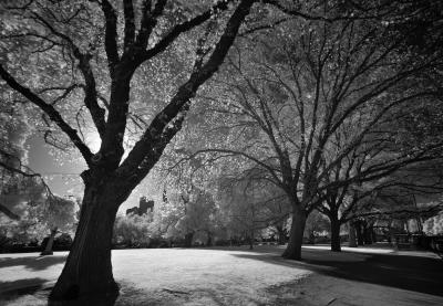 _DSC6648web.jpg