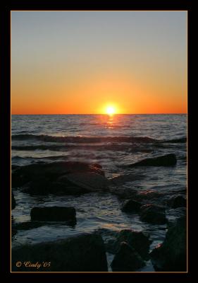 Natures Palette 09