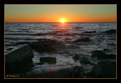 Natures Palette 10