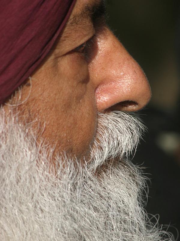 Profile of a Sikh