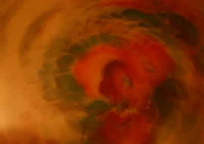 June 9 2005: Poppy Swirl
