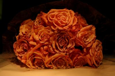 September 9 2005: Roses For My Friends