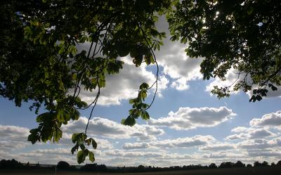 September 17 2005: It’s Cloud Illusions I Recall